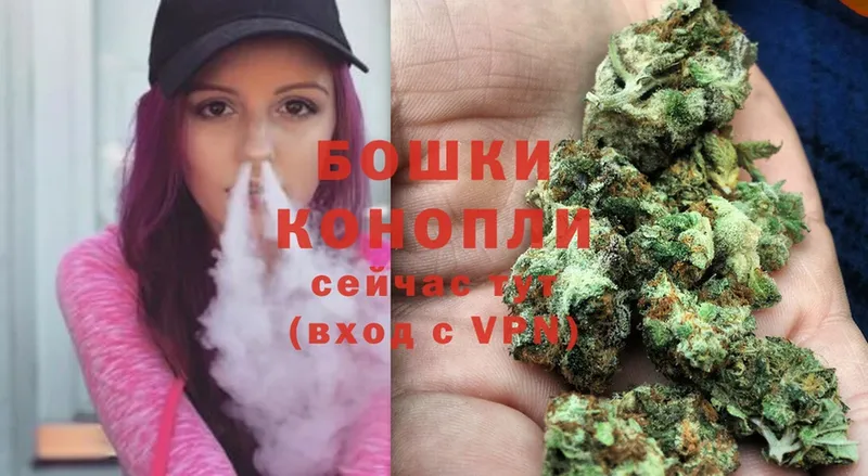 Конопля White Widow  купить   Приволжск 